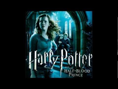 Harry & Hermione (Oppugno Scene)