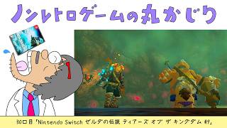 【30口目】ゼルダの伝説 ティアーズ オブ ザ キングダム#9（Nintendo Switch）～Dr.ねこじゃらしのノンレトロゲームの丸かじり～ 2026年7月15日水曜日