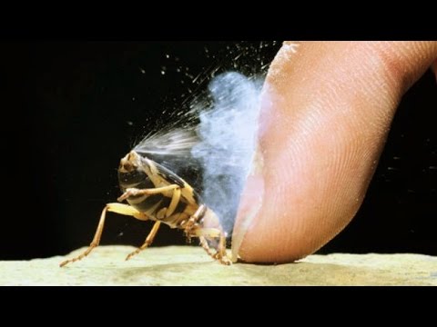 Kung paano mawalan ng timbang mabilis na batang babae 10 taon Kung paano mawalan ng timbang na ay pagkatuyo ng katawan