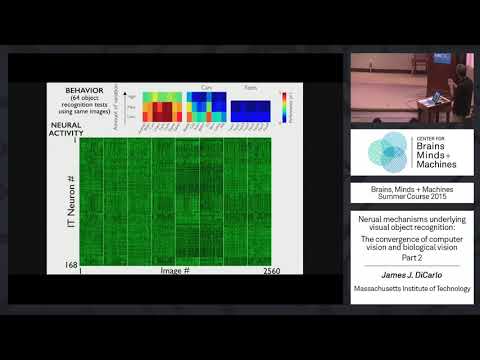 Lecture 1.4: Neural Mechanisms of Recognition, Part 2