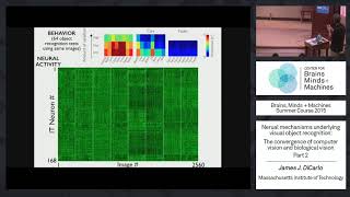 Lecture 1.4: Neural Mechanisms of Recognition, Part 2