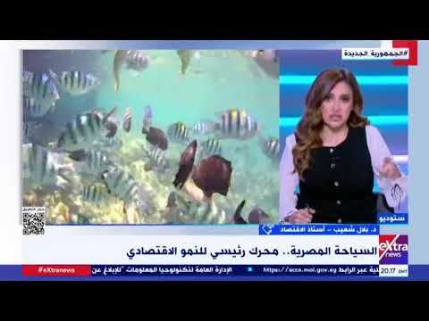 كامل الوزير يعلن طرح أراضٍ صناعية بمساحة 8.5 مليون متر.. عاجل 