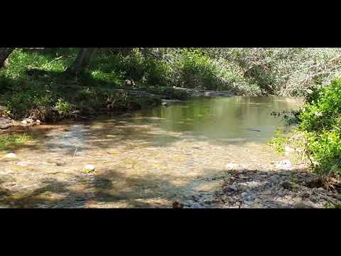Lenguaje de Luz -Hadas, Abrazando a la niña interna