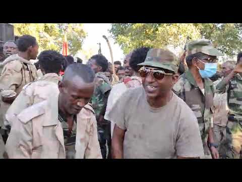 NEW ERITREAN MUSIC GAYLA BY WEDIE MERET IN BADME 2023