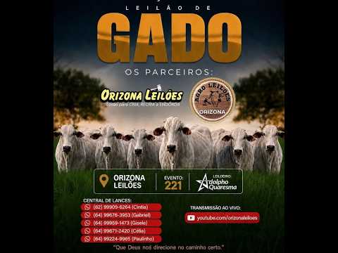 Orizona Leilões + Agro Leilões - 06/08/2026 I Leilão ao Vivo - Leilão em Goiás