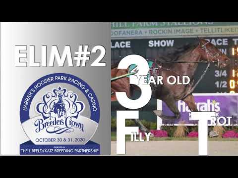 2020 Breeders Crown Elim#2 - Next Level Stuff - 3FT