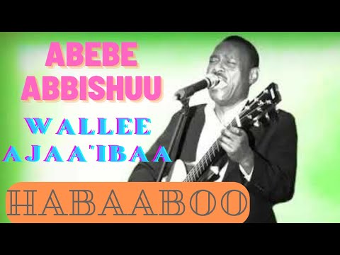 Abebe Abbishuu - Habaaboo Goree | Oromo Music
