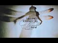 Vietsub Heaven Knows I M Miserable Now The Smiths Nhạc Hot TikTok Lyrics Video