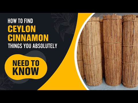 Things To Know Before You Buy Ceylon Cinnamon + Secret to Making Ceylon Cinnamon Taste Even Better