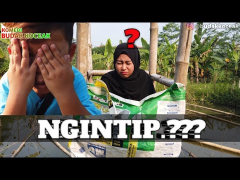 ngintip-komedi-budak-koceak