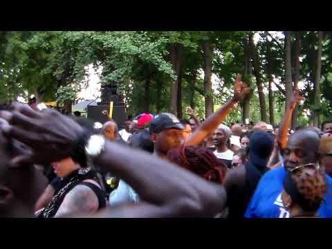 8/13/17 Soul Summit, Ft. Greene Pk, Brooklyn (4)