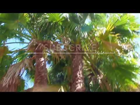 Ride Along with Me Vanessa Lee