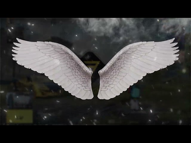 اليرت بيسك رقم (42)