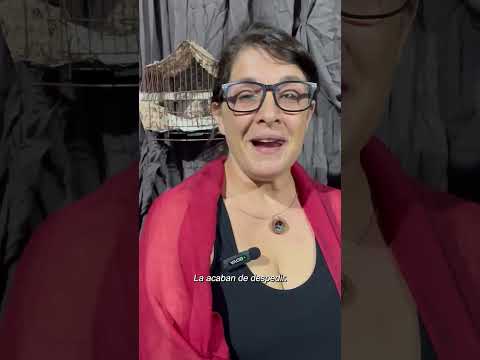 Teatro 🐦 Un mirlo. En mi novela se oirá un mirlo. Dramaturgia: J. Grinspan | Dirección: C. Miserere