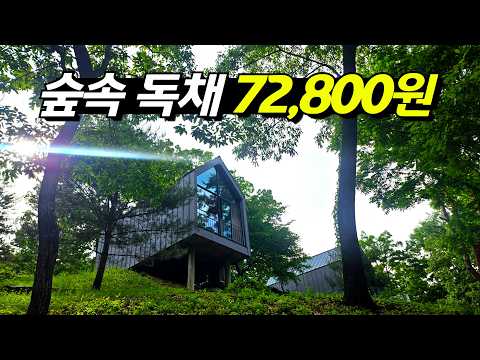 충남 공주의 숨은 보석: 공주 살림 휴양마을과 치유의 숲 체험기