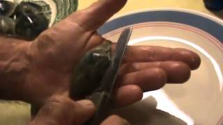 How to Open A Clam, How to Shuck a Cherry-stone Clam