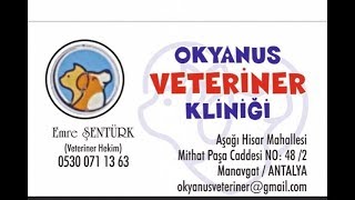 MANAVGAT'TA OKYANUS VETERİNER KLİNİĞİ AÇILDI