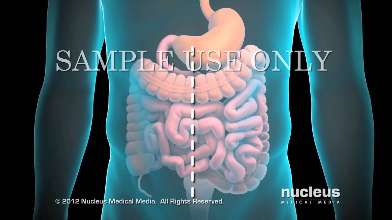 Ernesto Medina Hernández-12