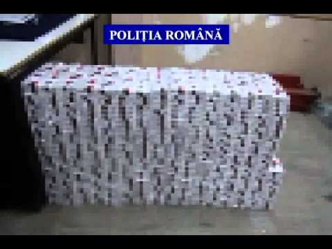 captura de tigari DAMBOVITA