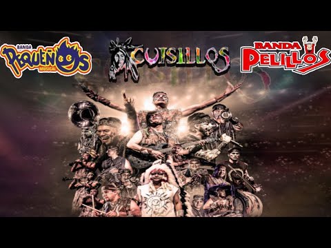 Pequeños Musical, Banda Cuisillos, Banda Pelillos...y Max 💃Bandas Viejitas Pero Bonitas Mix Movidas