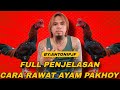 Full Instructions On How To Care For Pakhoy Chickens