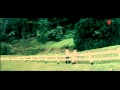 Aisa Deewana Full Song Dil Maange More Shahid Kapoor