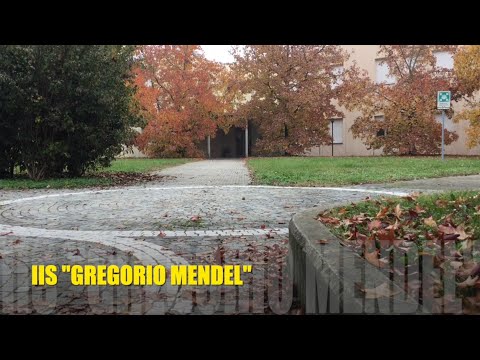 Presentazione IIS G MENDEL - Villa Cortese (MI)