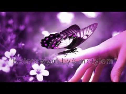 Kasia Klich Bajkowa Drużyna "Kolorowym być motylem"