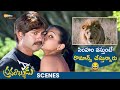 Jagapathi Babu Takes Advantage Of Priyamani Pravarakyudu Movie Best Scene Shemaroo Telugu