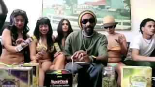 Snoop Dogg - Executive Branch