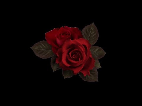 Random edit audios (pt.5) + Timestamps