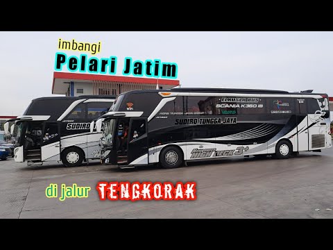 download lagu mp3 mp4 Po Sudiro Tungga Jaya, download lagu Po Sudiro Tungga Jaya gratis, unduh video klip Download Po Sudiro Tungga Jaya Mp3 dan Mp4 Music Online Gratis