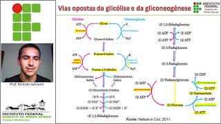 Metabolismo carboidratos parte IV - Gliconeogênese e Via das Pentoses-fosfato