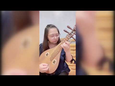 臺南市民族管絃樂團—顏滋瑩老師(柳琴)