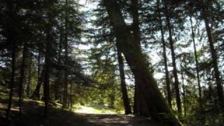 OPETH - Den Ständiga Resan