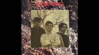The Icicle Works - S/T [1984] FULL ALBUM