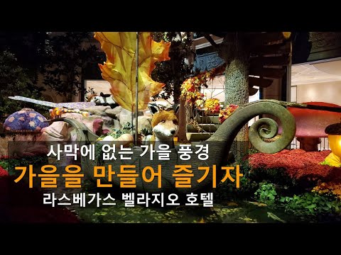 사막에 없는 가을풍경~ 만들어서 즐기자!  | 벨라지오 호텔 로비와 실내가든