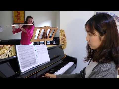 Traumerei Op. 15 No. 7 for flute and piano R. Schumann - Covid Creative Challenge