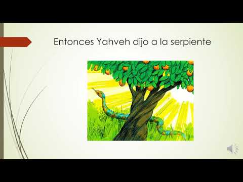 LECCION 2   Séptimo