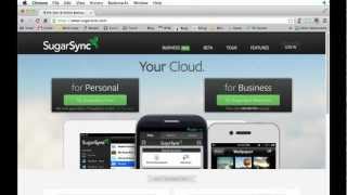 SugarSync video