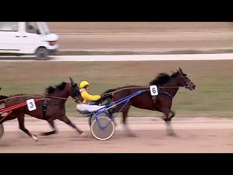 2022.12.31. 05. futam - TRACO - BUBIK ISTVÁN EMLÉKVERSENY HENDIKEP