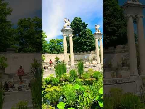 Plants and Flowers grows in the water in Untermeyer Garden, Yonkers, NY.