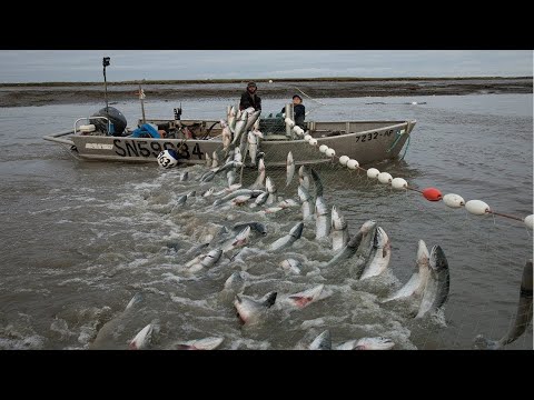 Automatic Long Net Fishing And Traditional Marine Nets. The best Fishing Fisherman