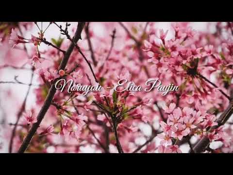 Lirik Noruyou - Elica Paujin