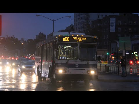 Q60 Bus Timetable