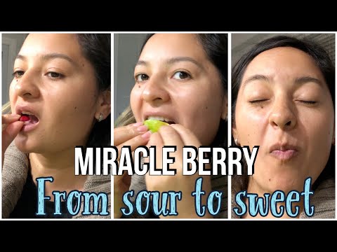 Miracle Berry from Amazon review/  Miracle Berries do they really work