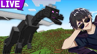 いよいよ エンドラ討伐へ 02 07 00 02 12 56 マイクラ生放送 リセット無しエンドラ討伐 切り抜きdb