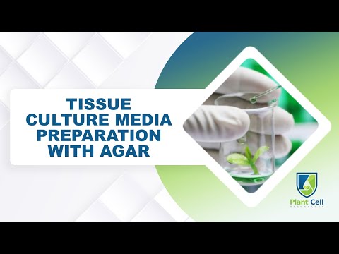 How to Make Tissue Culture Agar - Gelling Agent