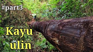 Download lagu Kayu ulin terdampar yang di buat balok ‼️ mp3