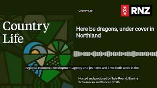 Here be dragons, under cover in Northland | Country Life